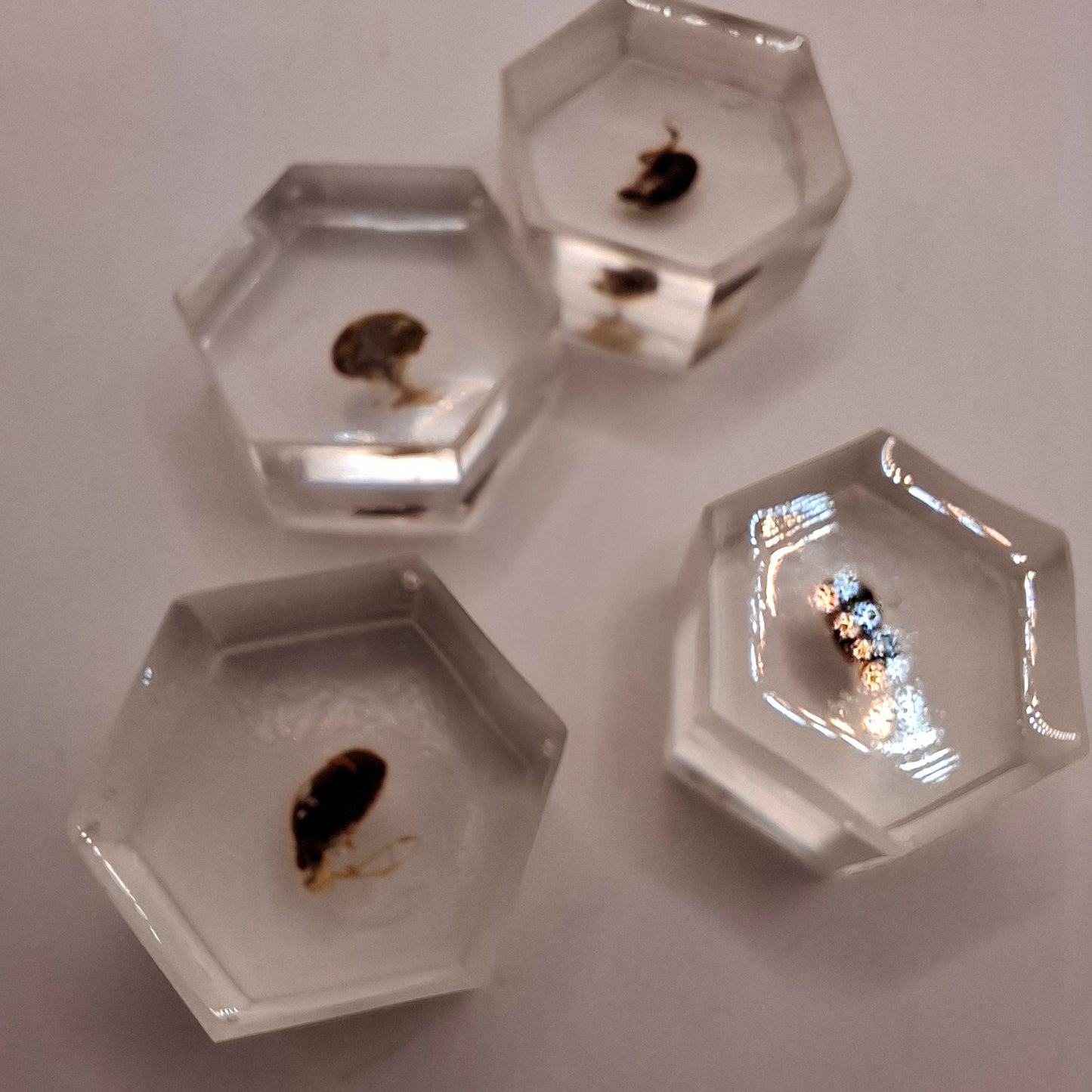 Bargain Box AKA Imperfect things