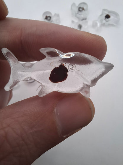 Mouse Heart Fish