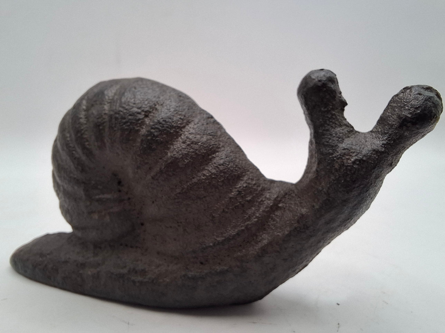 Black Snail