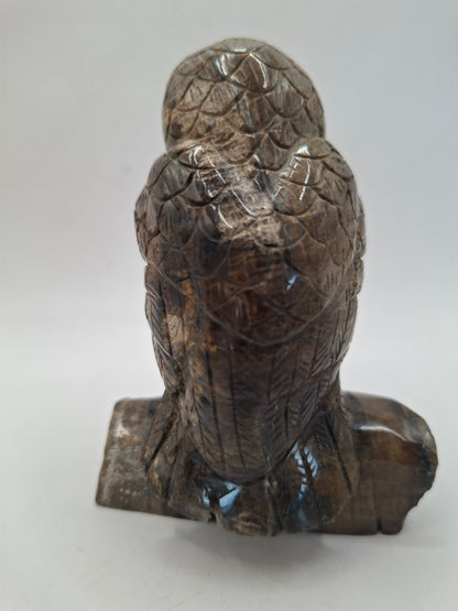 Dark Owl Carving