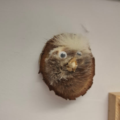 Little Head