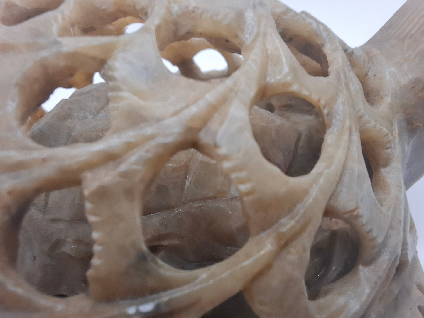 Pregnant Turtle Carving