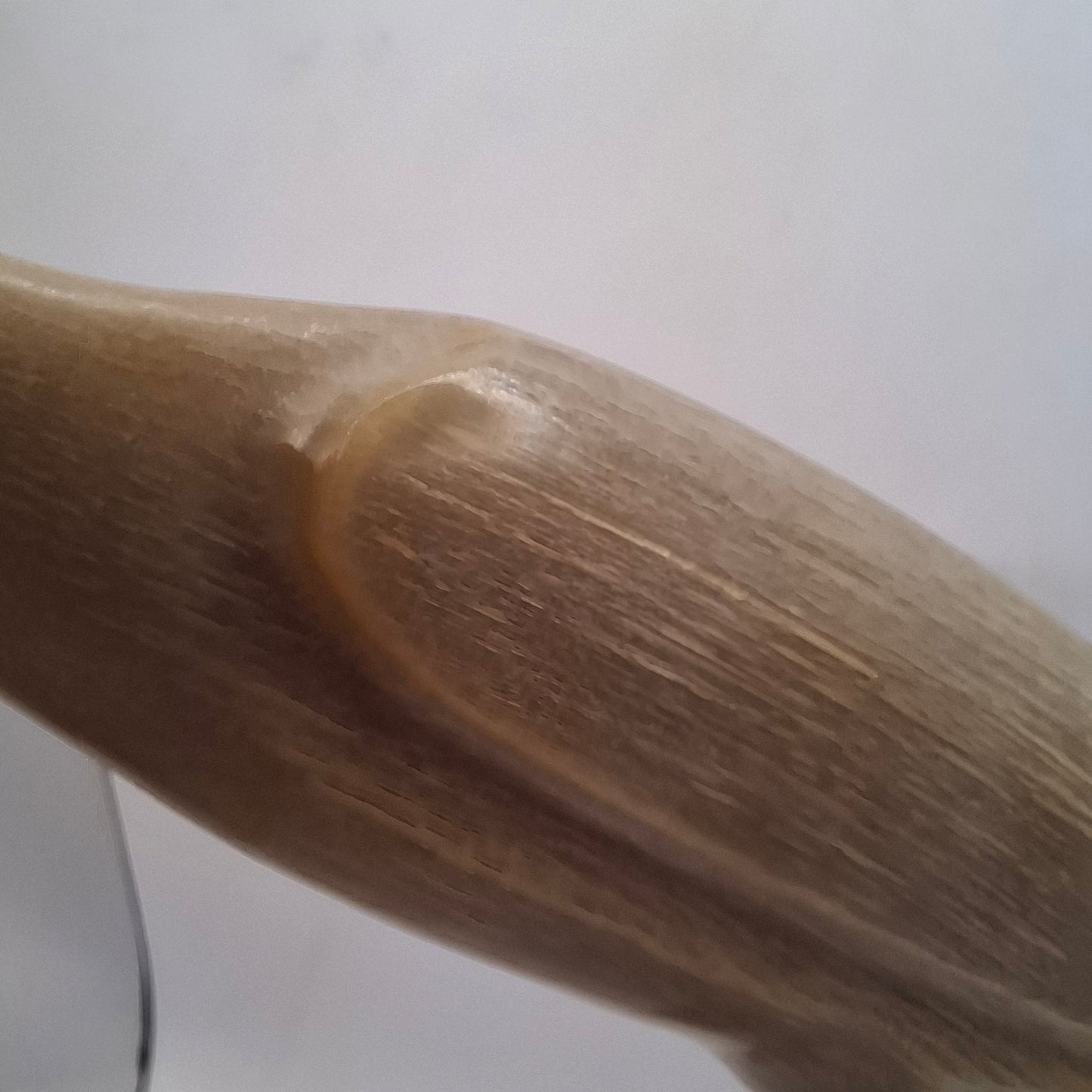 Horn Carved Into A Bird