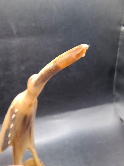 Bird Horn Carving (UK Only)