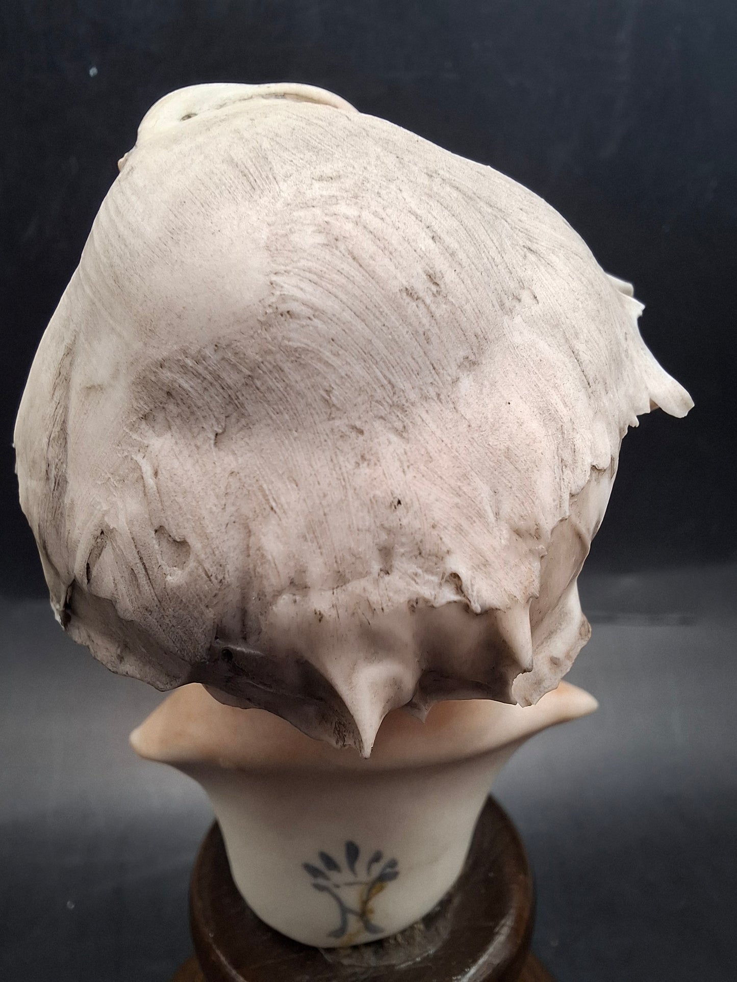 Old Man Heads