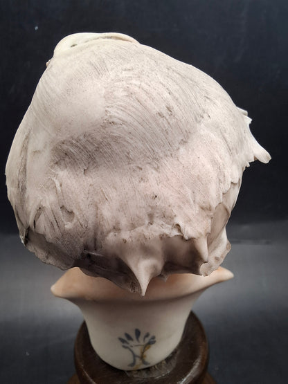 Old Man Heads