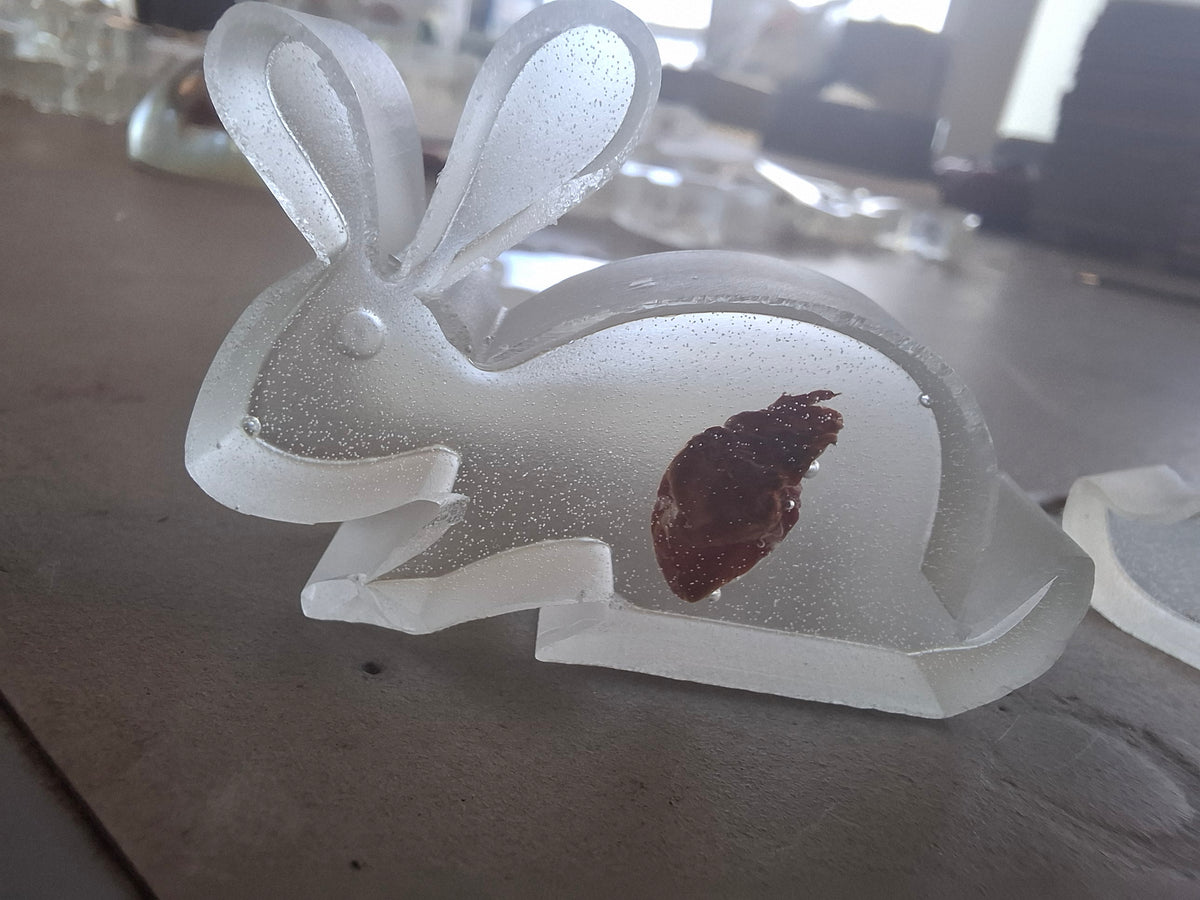Woodland Critters