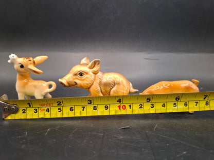 Brown Animals