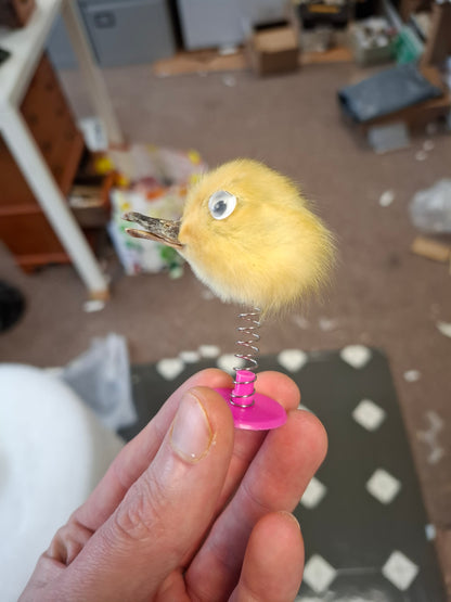 Bobblehead Duckling
