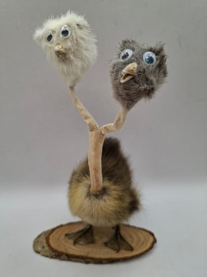 Twin Beaks