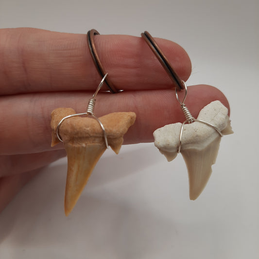 Shark Tooth Keyring