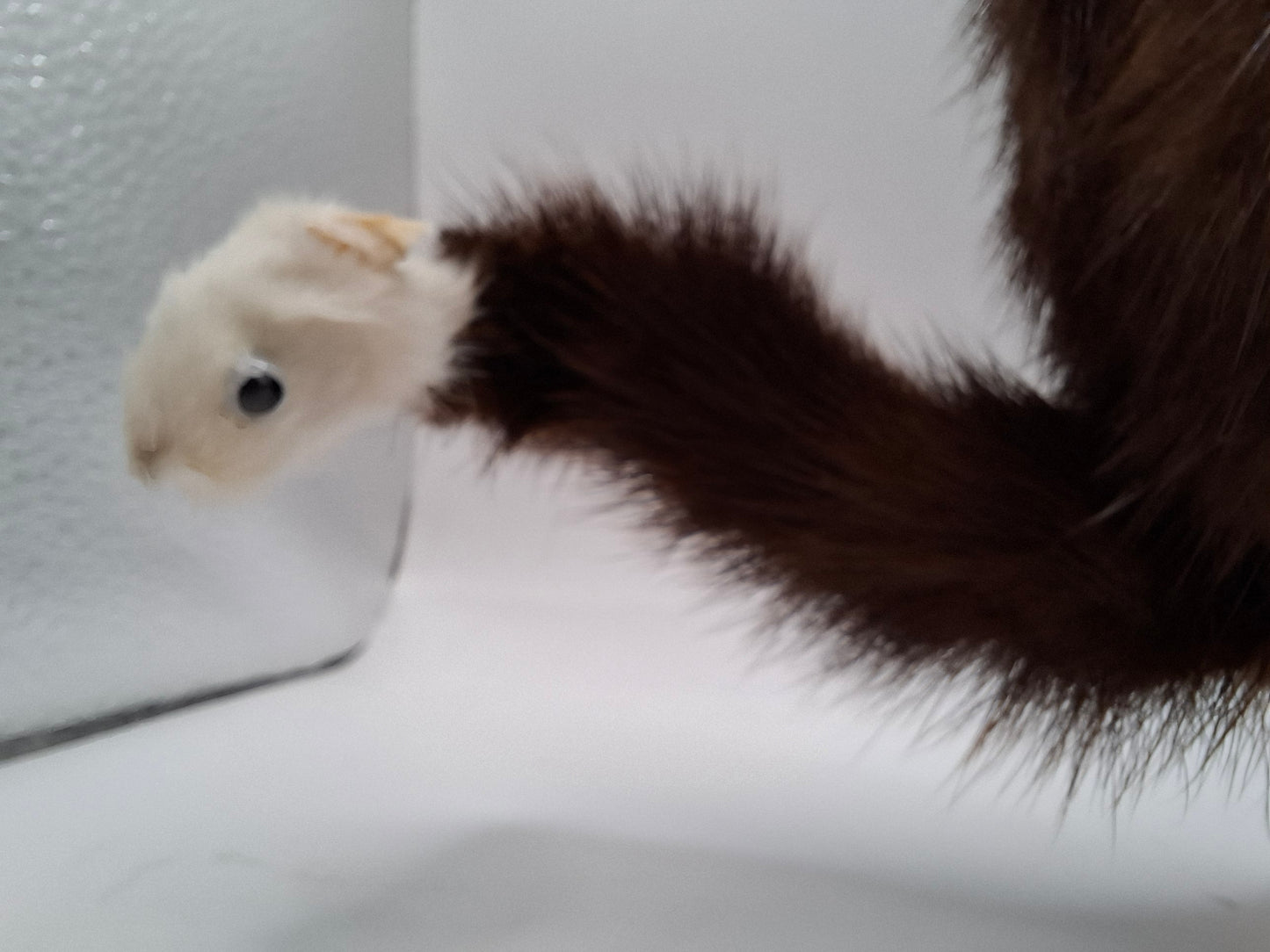 Baby Legs