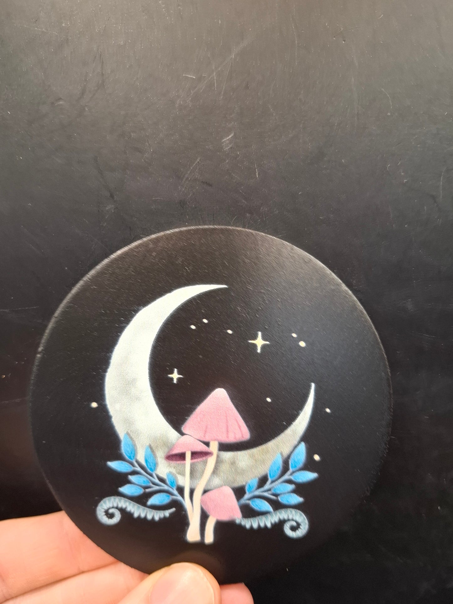 Night Coaster Set
