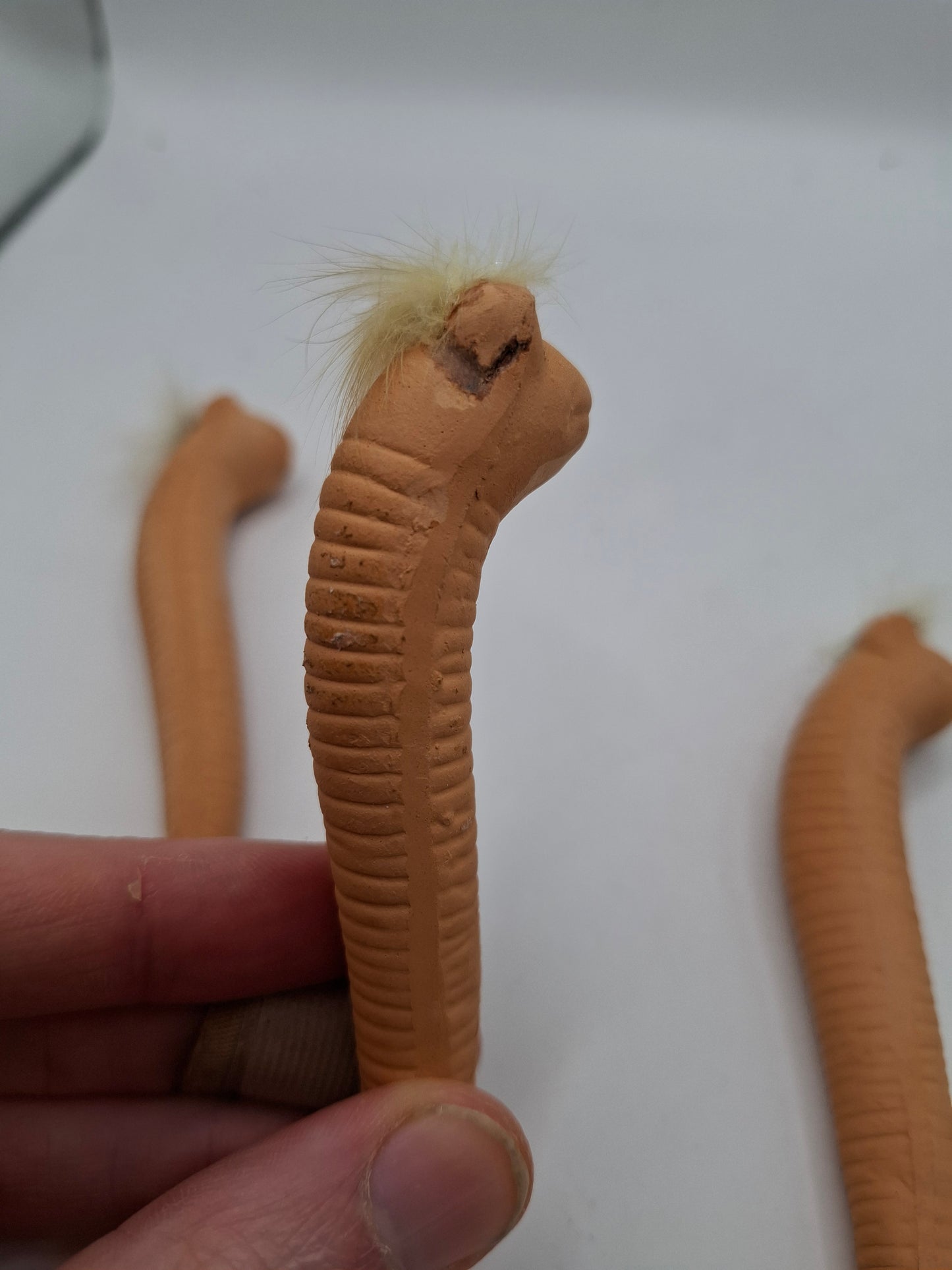 Skinny Worm