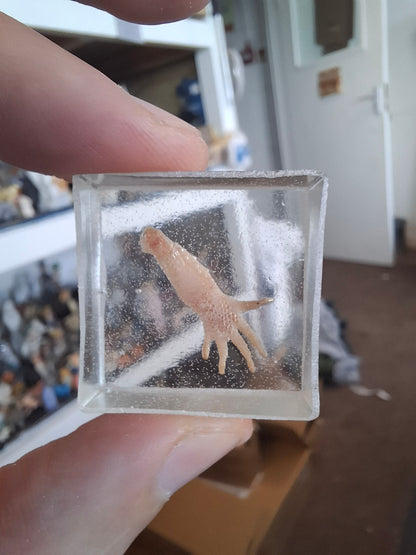 Lizard Leg