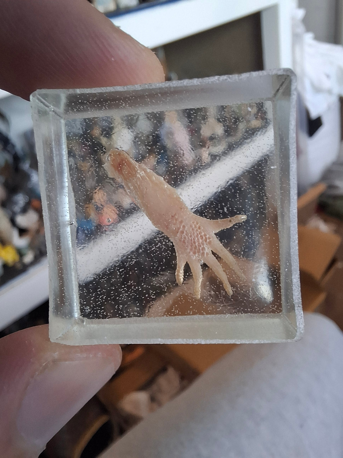 Lizard Leg