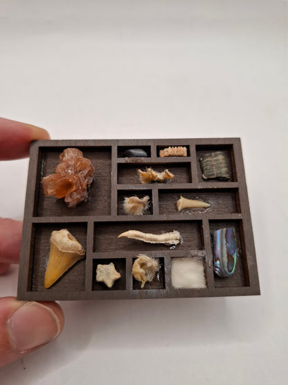 Mini Bits