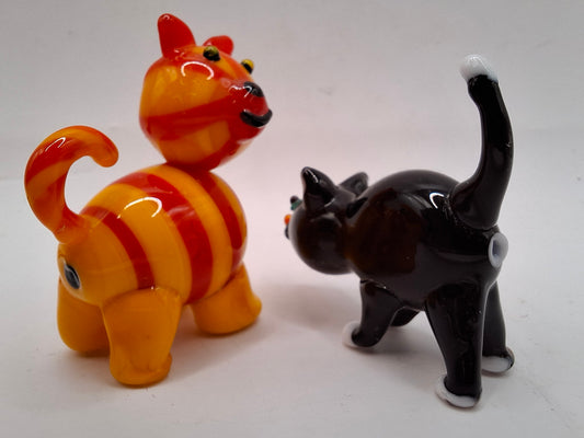 Glass Arsehole Cats