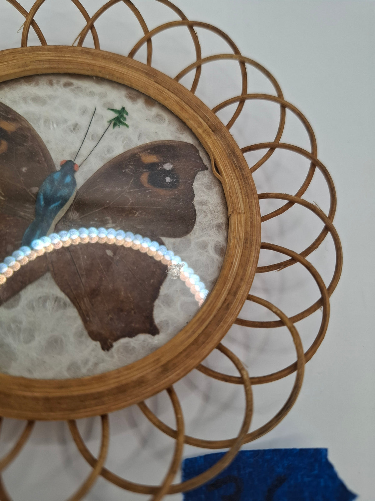 Butterfly Coasters