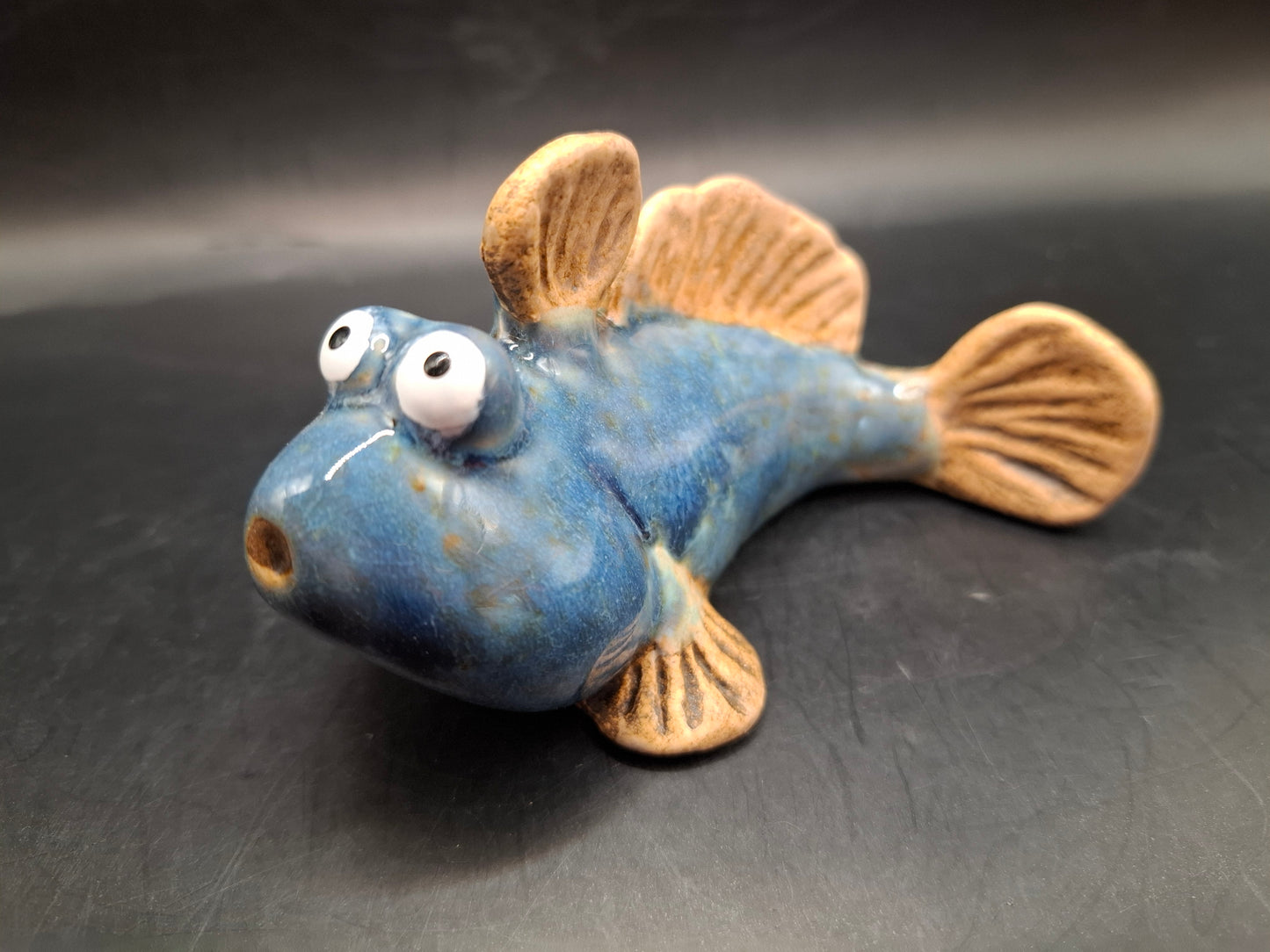 Blue Mudskipper