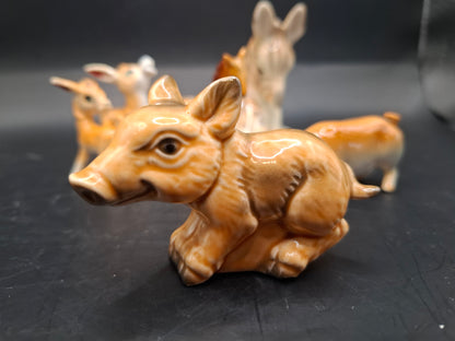 Brown Animals