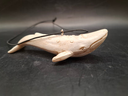 Fishy Danglers