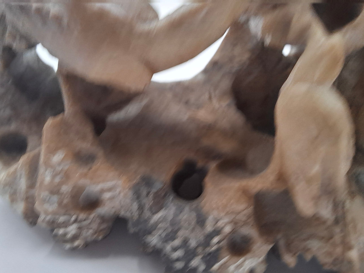 Big Soapstone Carving