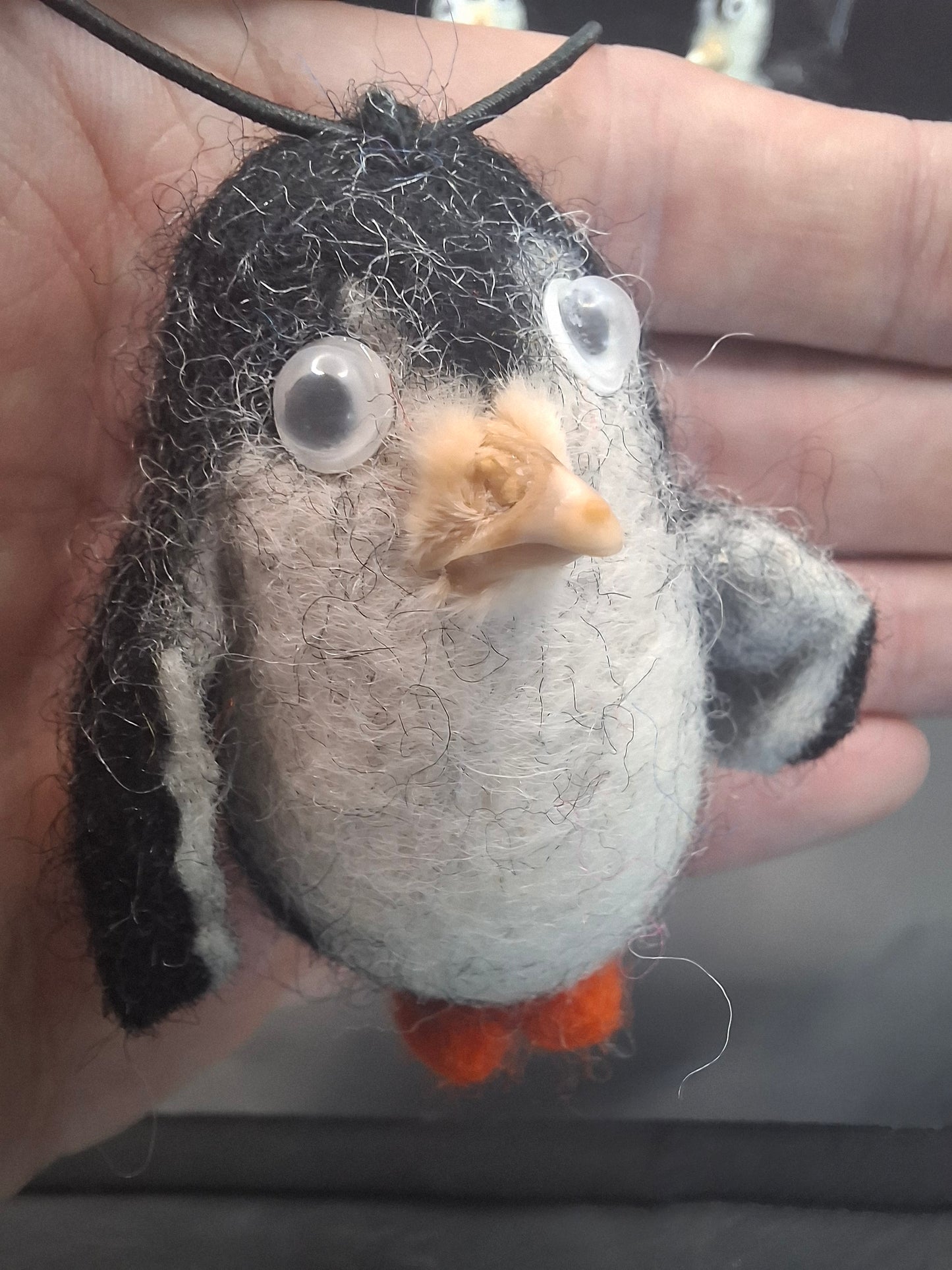 Dead Bird's Beak On A Penguin