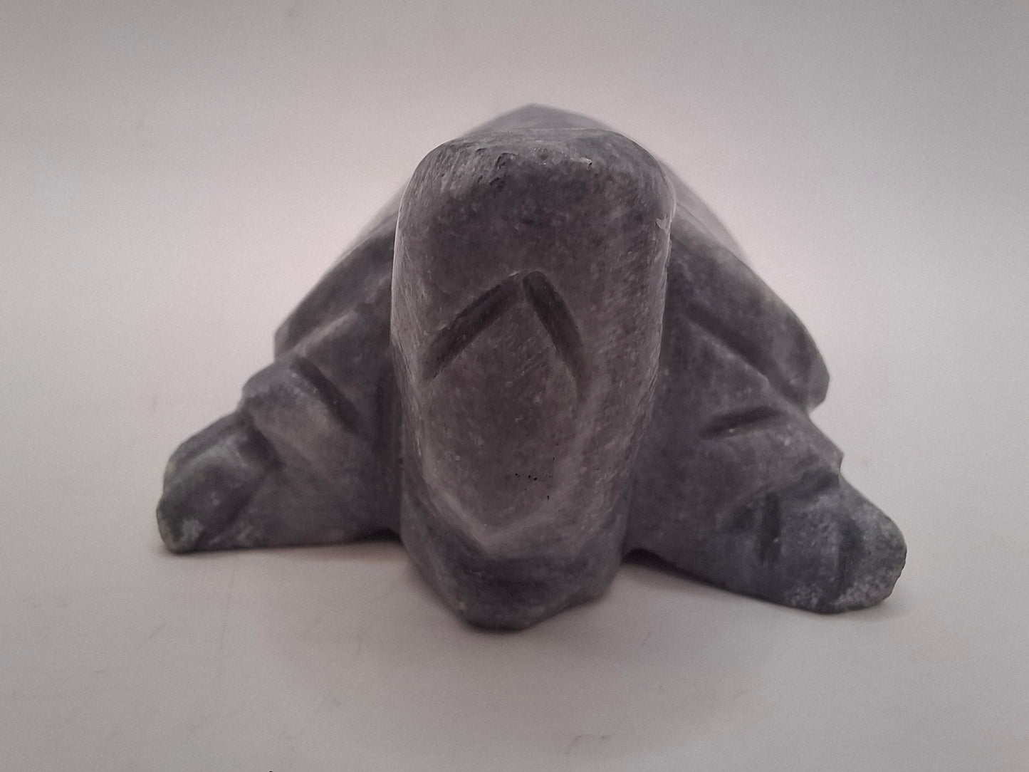 Sad Looking Turtle Carving