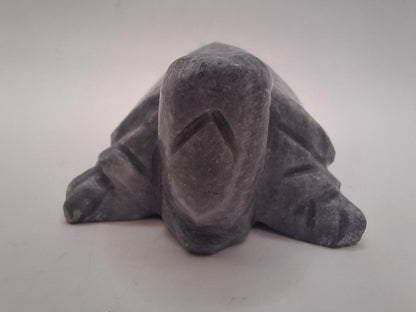 Sad Looking Turtle Carving
