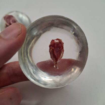 Mouse Head In A Dome