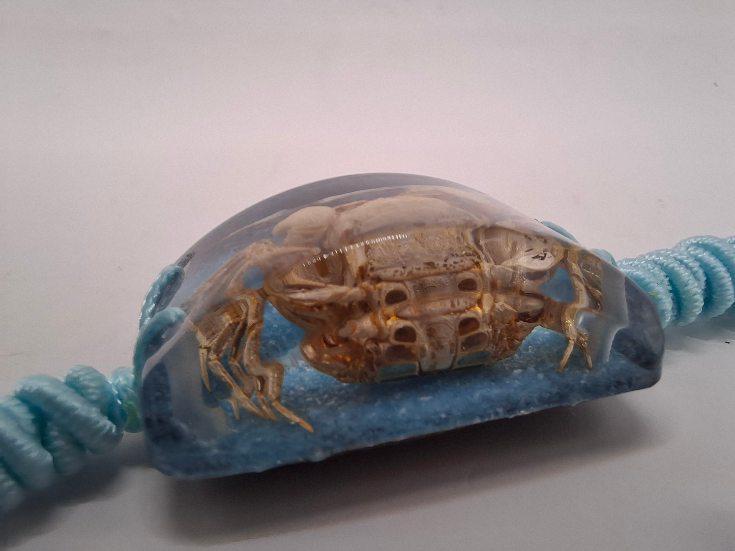 Crab Wristband