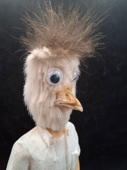 Squark Casual