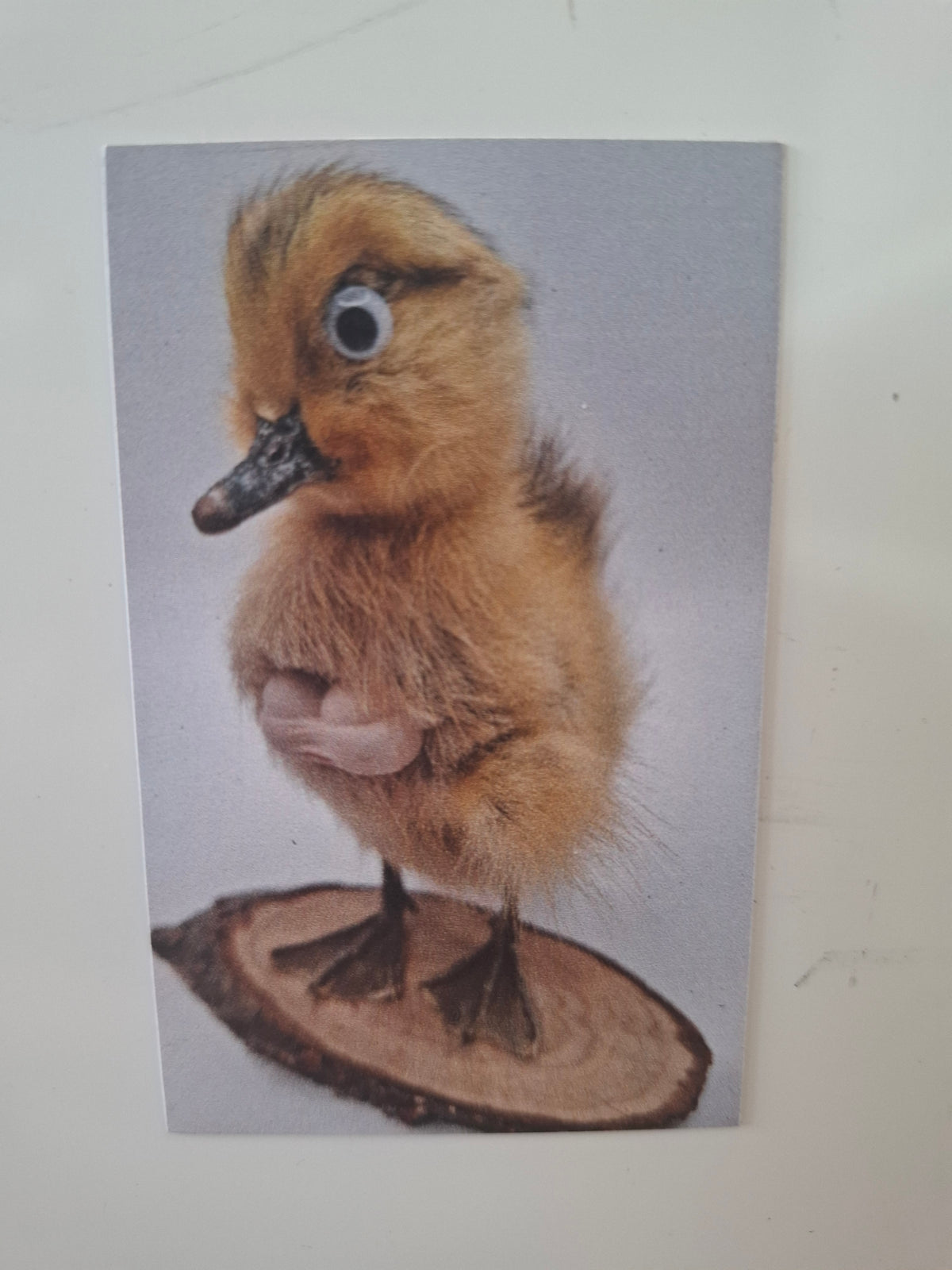 Duck Breast Fridge Magnet