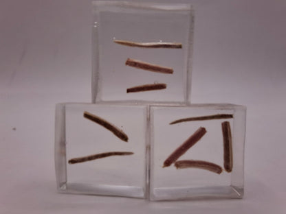 Bits Of Tail
