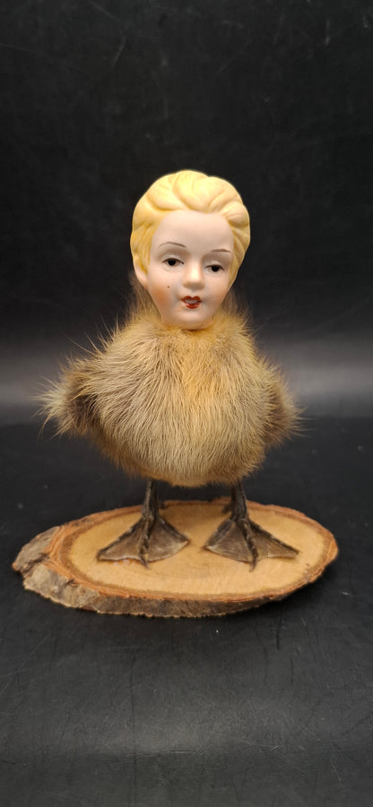 Duck Heads