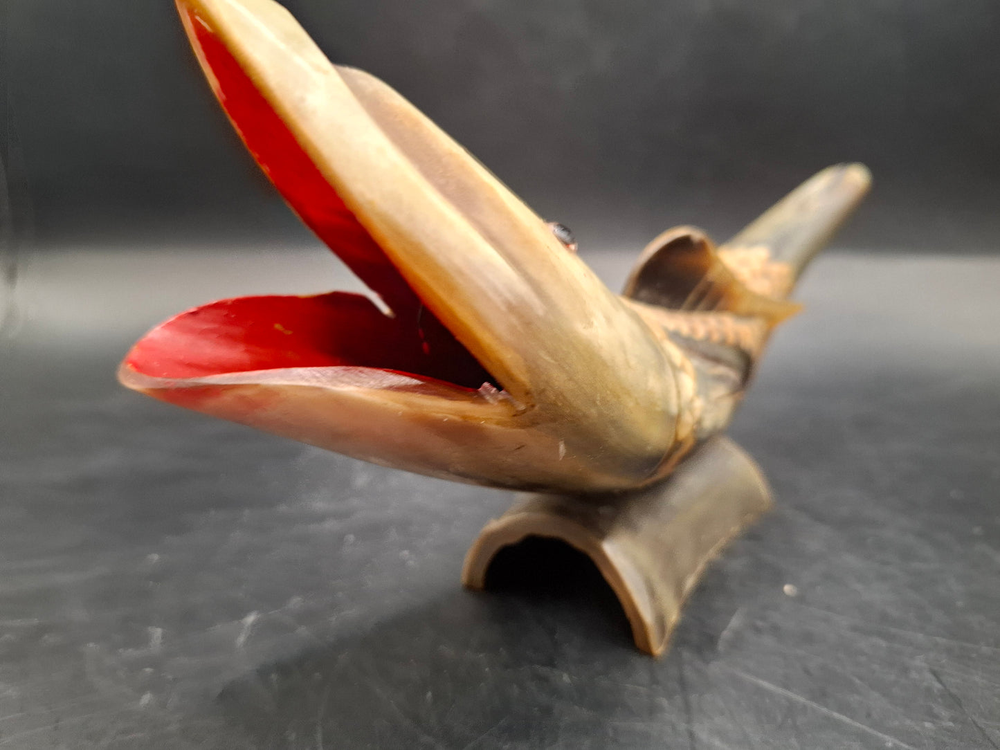 Fish Horn Carving (UK Only)