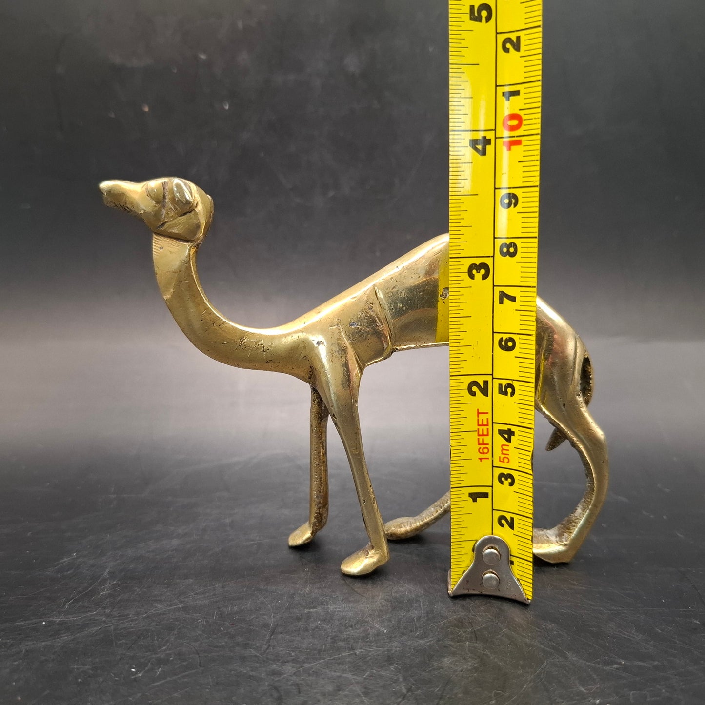 Metal Camel