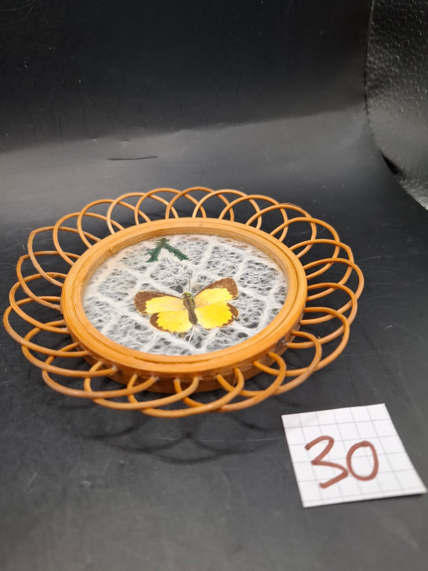 Butterfly Coasters