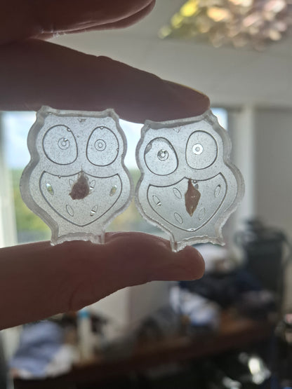 Owl Arse