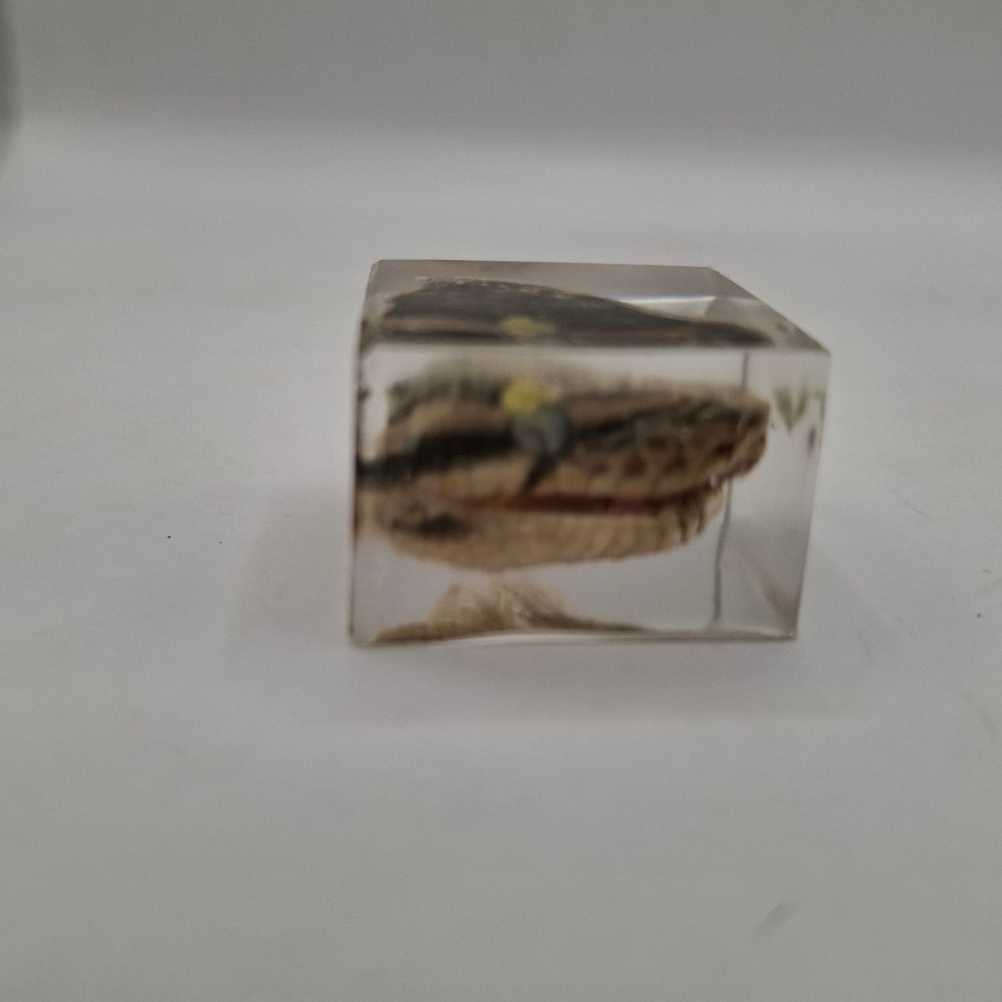 Bargain Box AKA Imperfect things