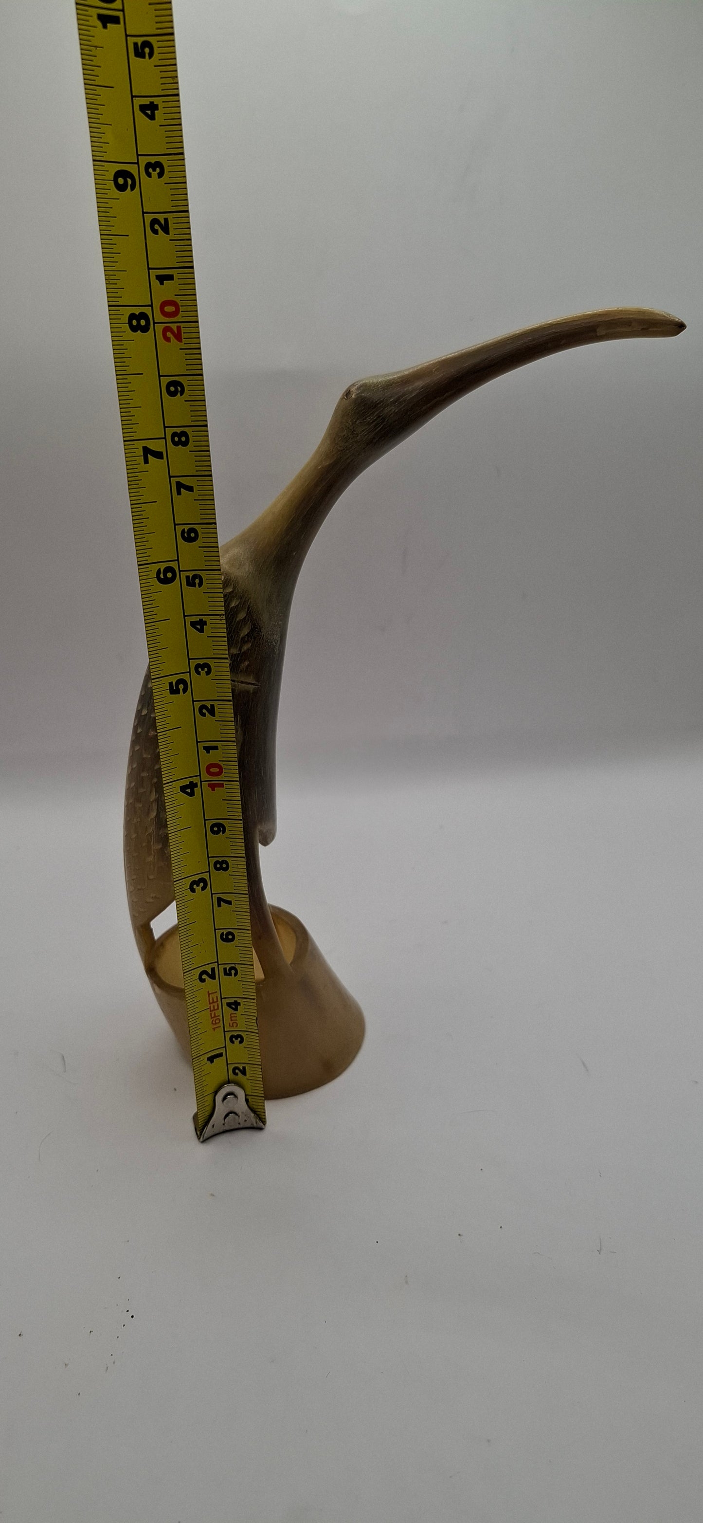 Bird Horn Carving (UK Only)