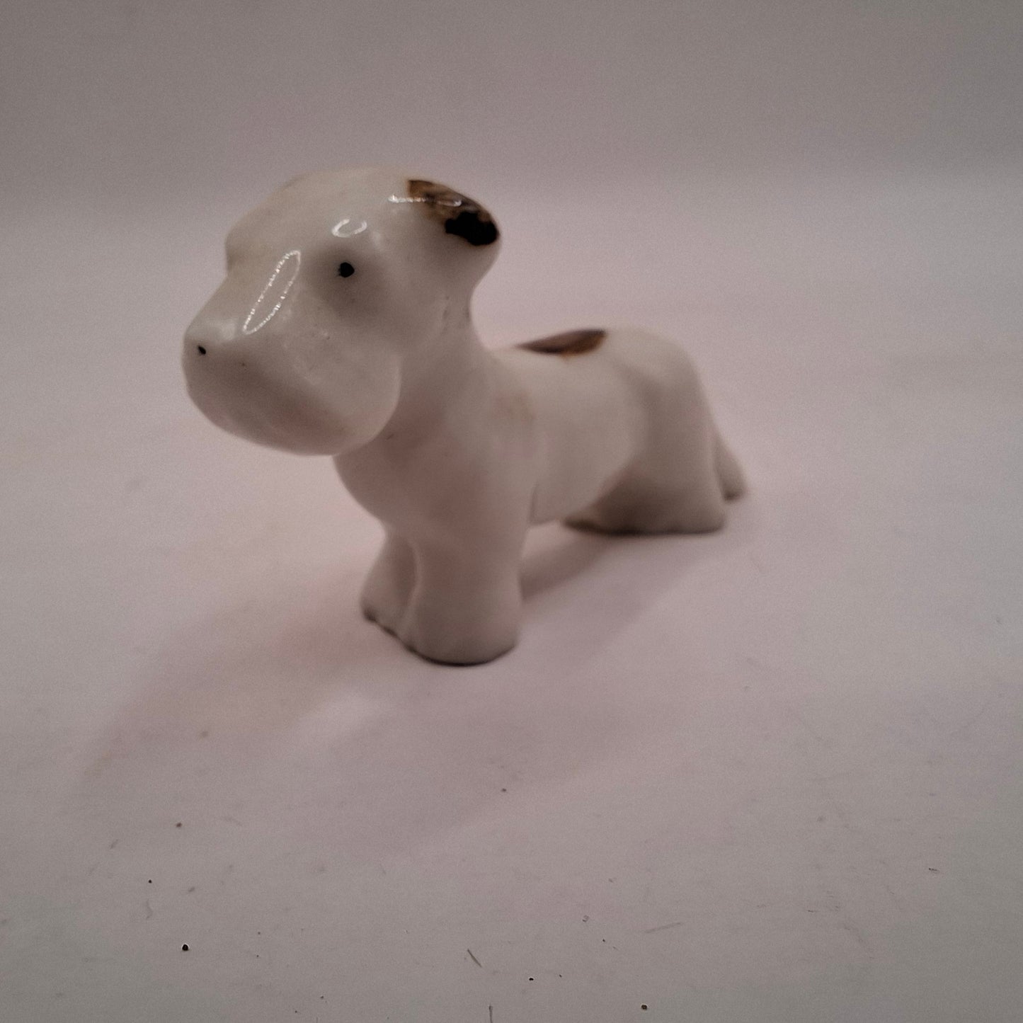 Tiny Animals MORE OF THEM