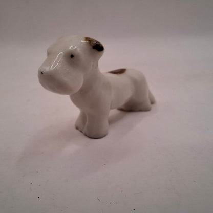 Tiny Animals MORE OF THEM