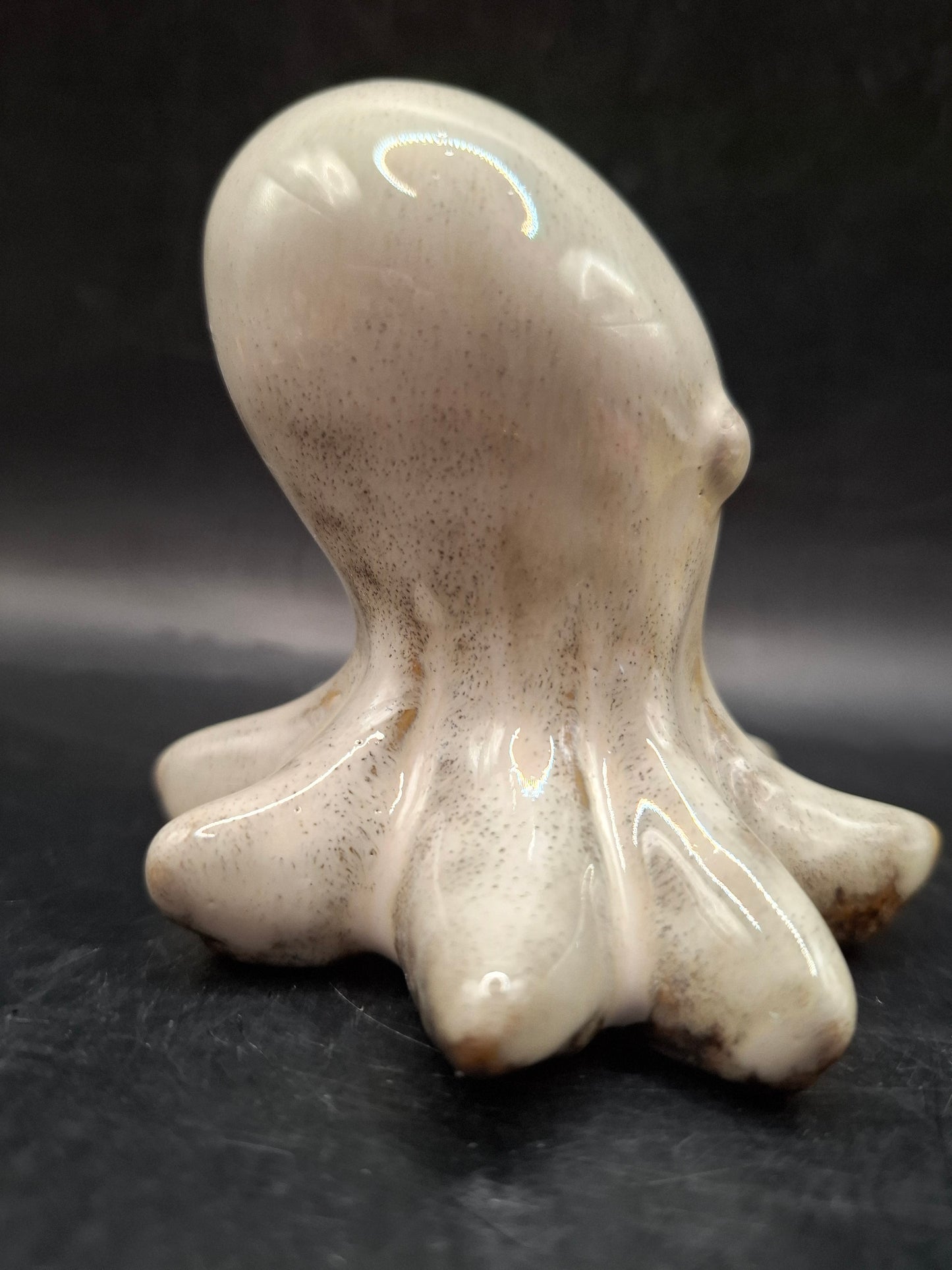 Milky Looking Octopus