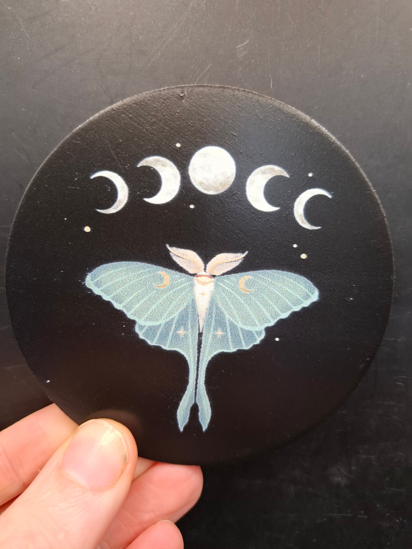 Night Coaster Set