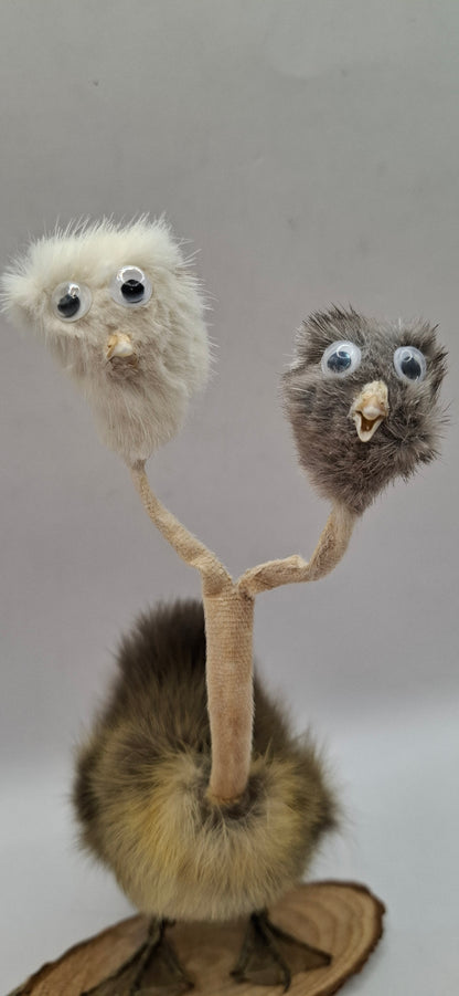 Twin Beaks