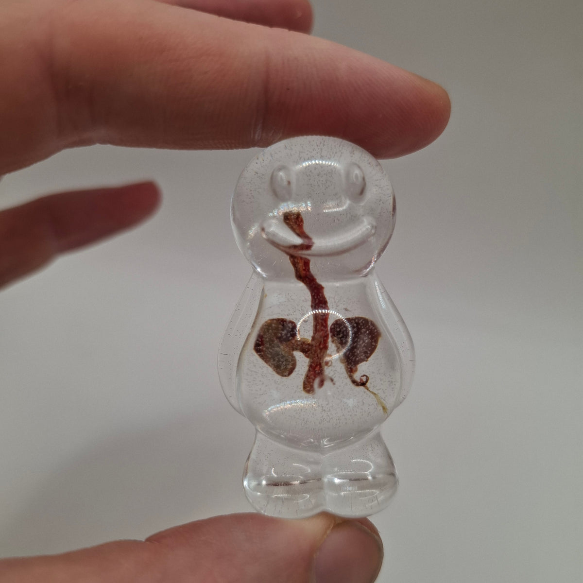 Anatony (Bubblier Batch)