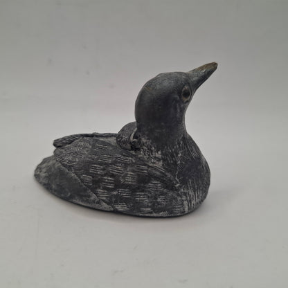 BDC - Black Duck, Canadian