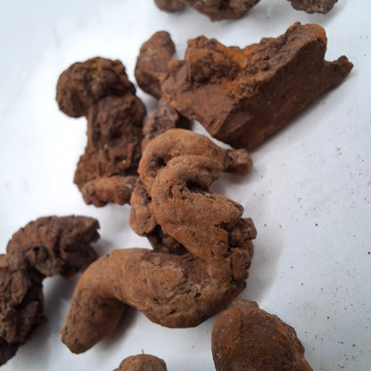 Fossilised Poo